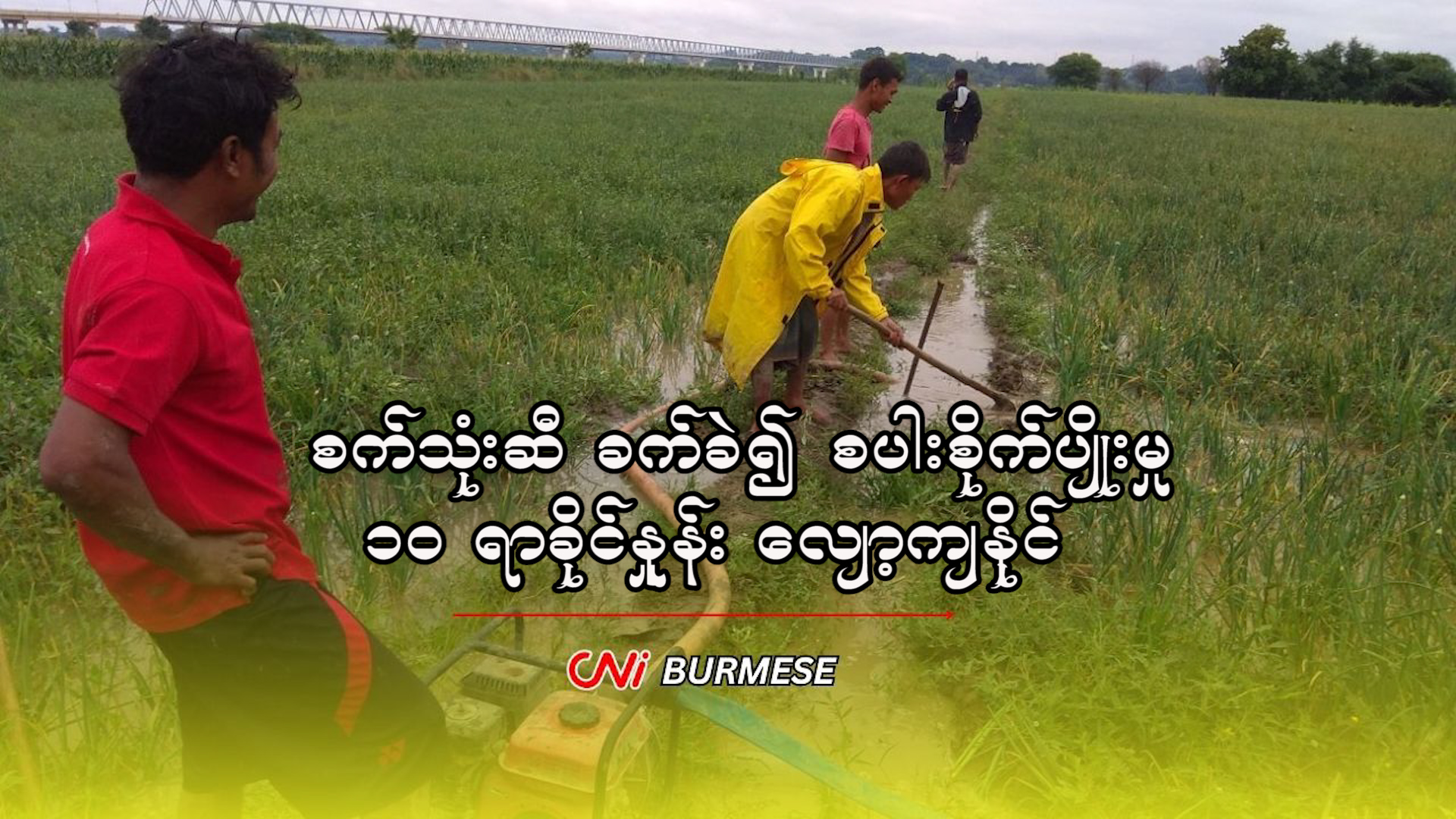 စက်သုံးဆီ ခက်ခဲ၍ စပါးစိုက်ပျိုးမှု ၁၀ ရာခိုင်နှုန်း လျော့ကျနိုင်