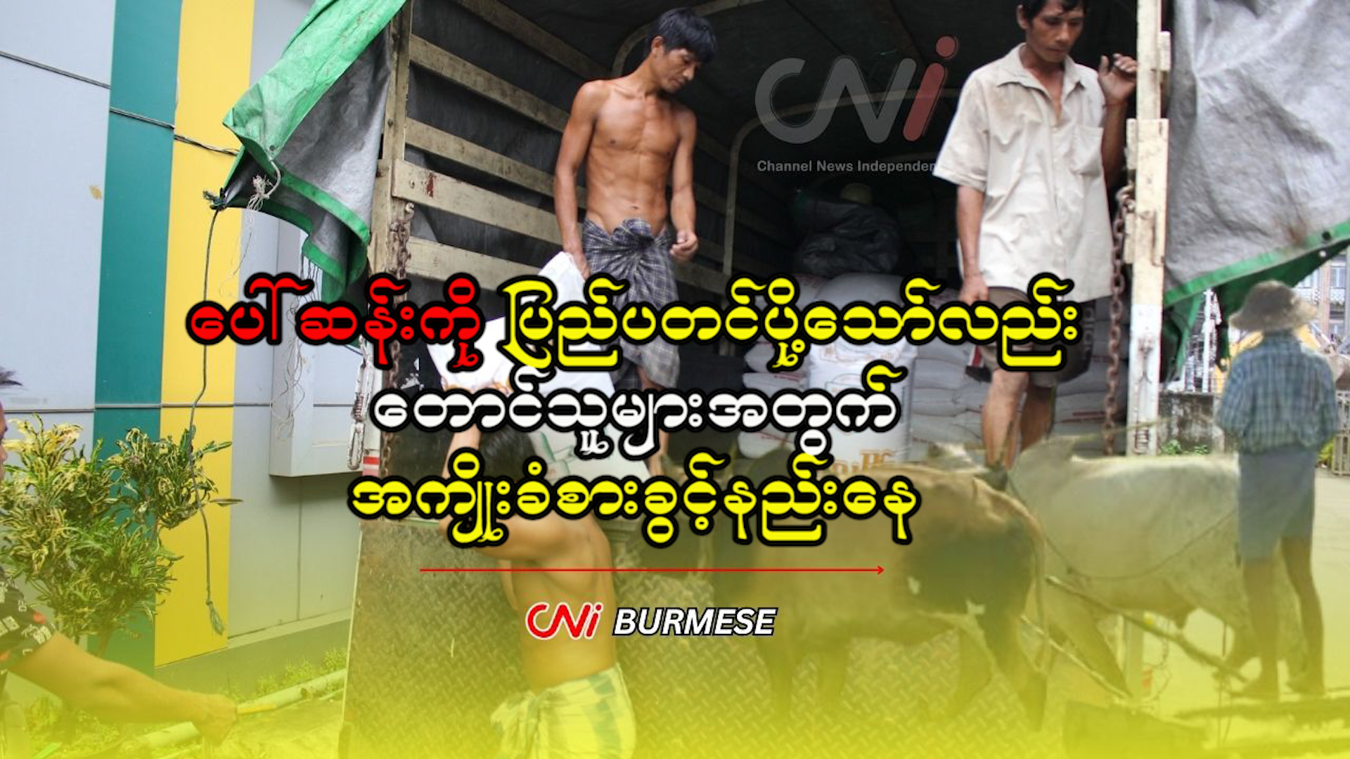 ပေါ်ဆန်းကို ပြည်ပတင်ပို့သော်လည်း တောင်သူများအတွက် အကျိုးခံစားခွင့်နည်းနေ