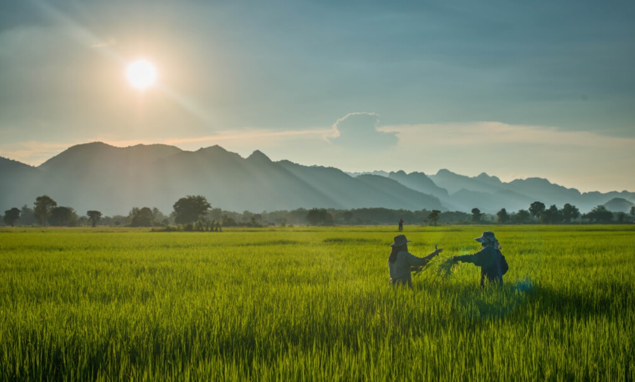 Some Farmers Yet to Receive Loans Under Government's 100-Day Plan