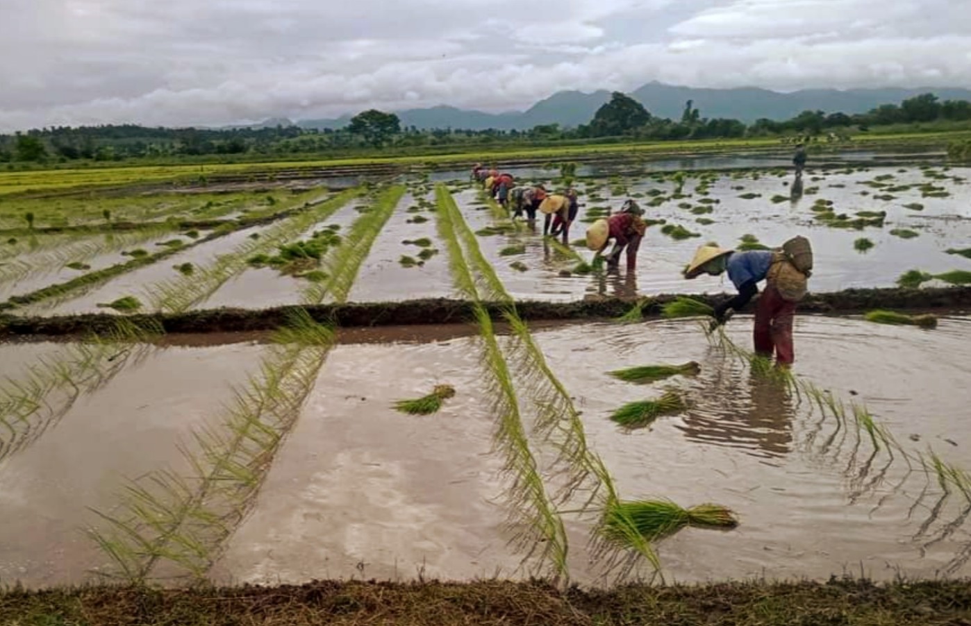 MP to Present Difficulties of Mone Residents to Parliament