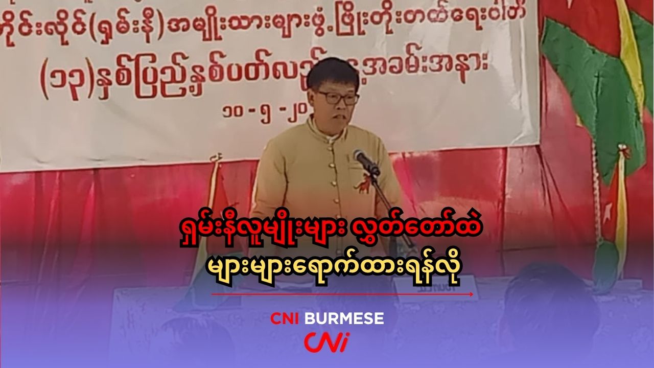 ရှမ်းနီလူမျိုးများ လွှတ်တော်ထဲ များများရောက်ထားရန်လို 