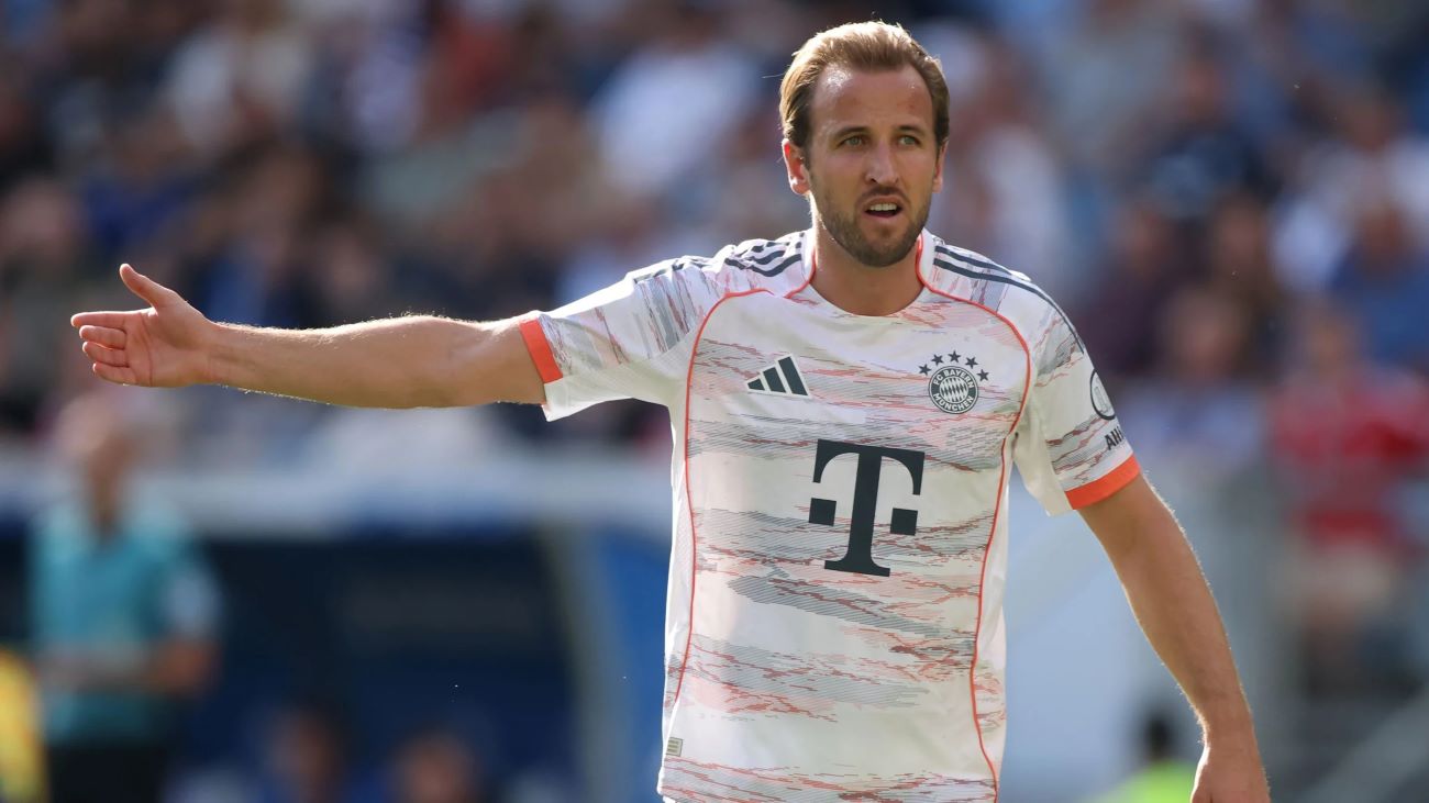 ဂျာမန်ဘာသာစကားသင်ယူရတာ ခက်ခဲတယ်လို့ ဟာရီကိန်း ဝန်ခံ 