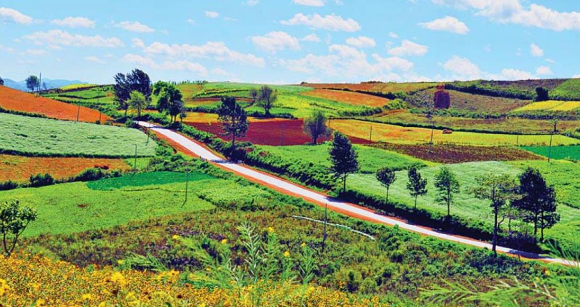 colorful plantations in Danu Autonomous Region